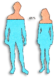 Agua purificada